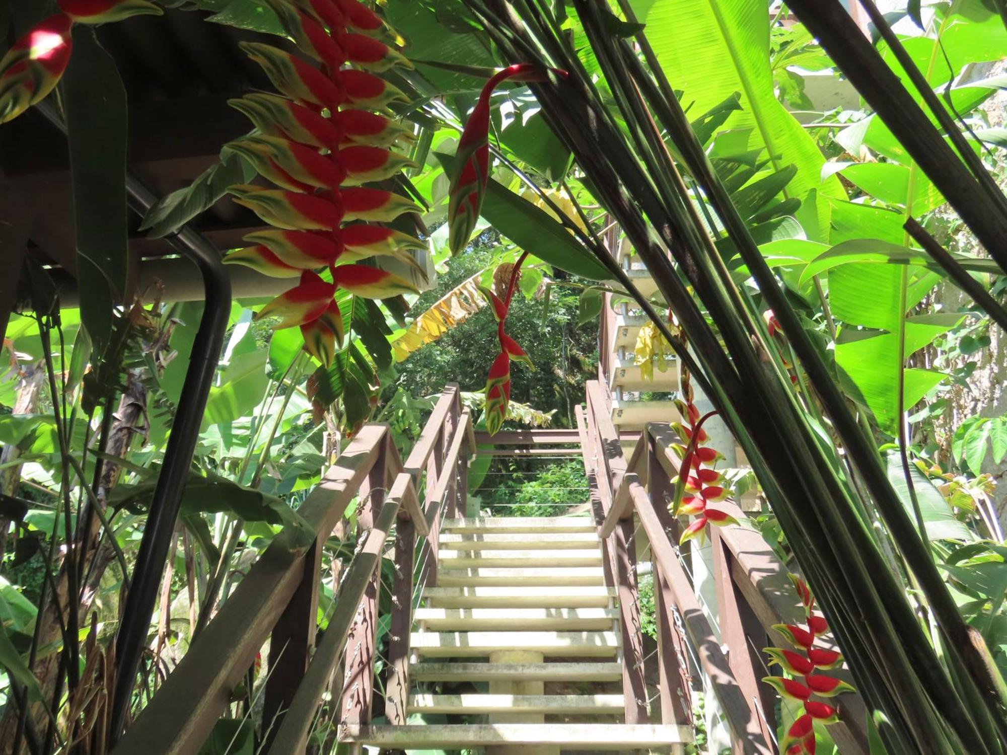 Patio Floriparadise ฟลอเรียนอโปลิส ภายนอก รูปภาพ