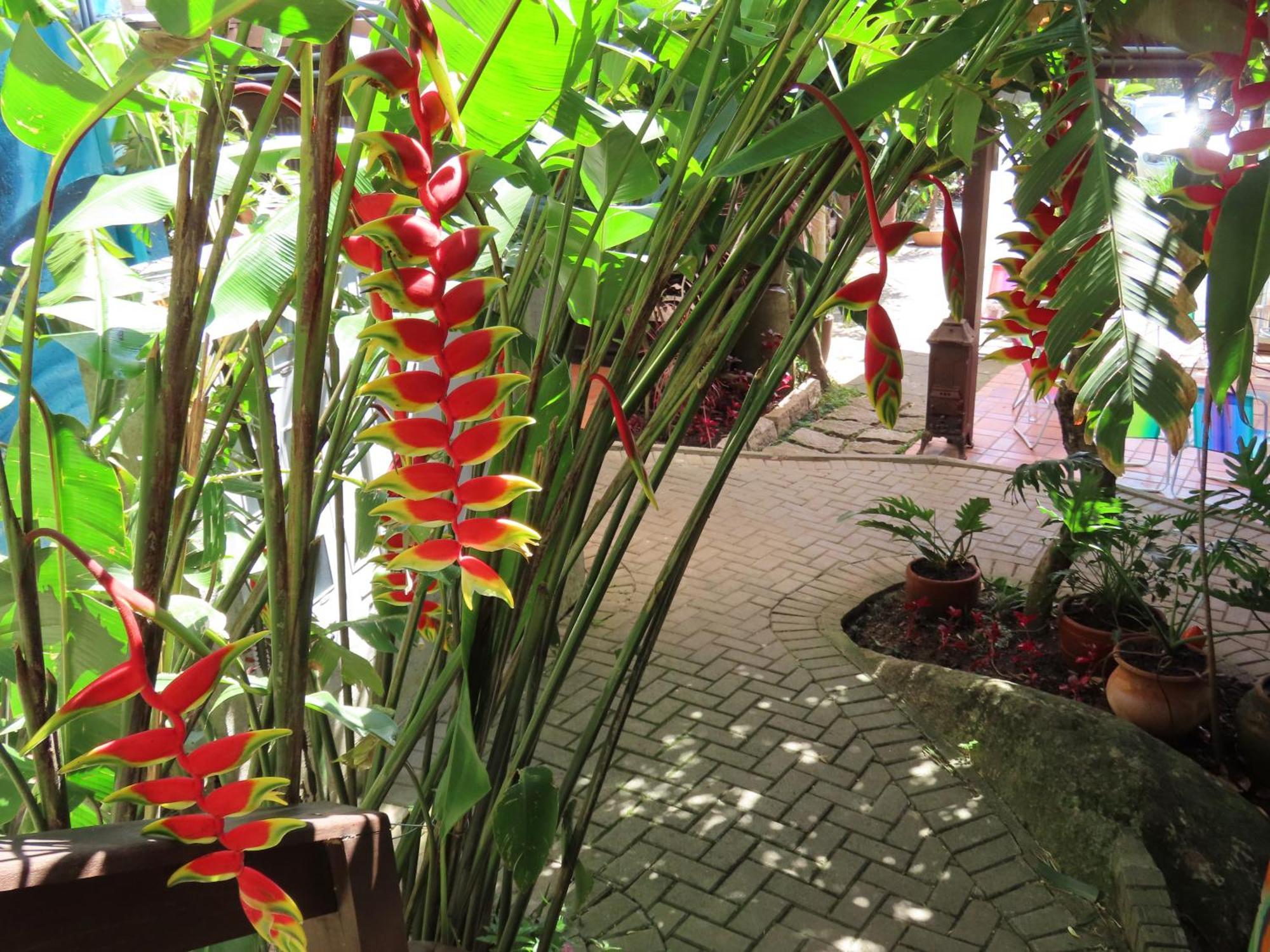 Patio Floriparadise ฟลอเรียนอโปลิส ภายนอก รูปภาพ